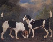 George Stubbs A Couple of Foxhounds oil painting reproduction